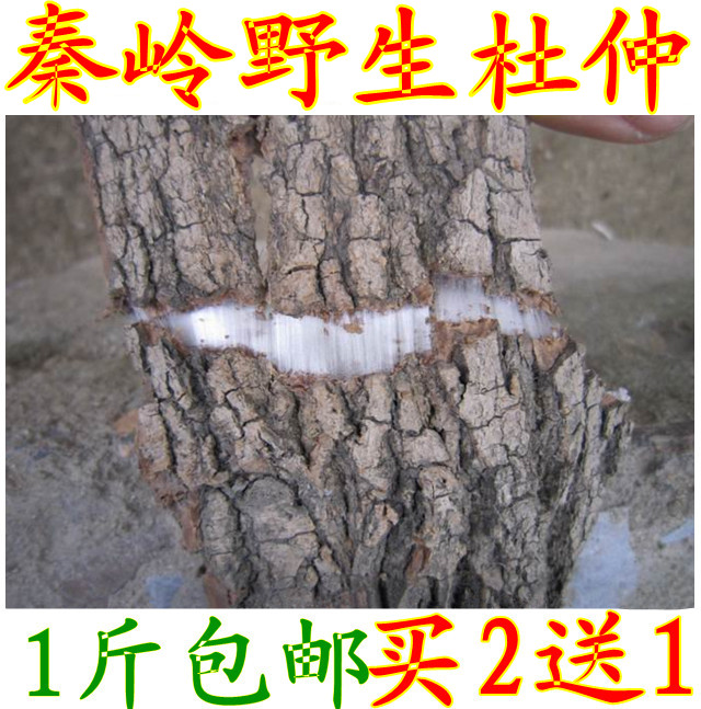 16年新货 秦岭野生杜仲皮 杜仲厚皮泡茶泡酒可磨杜仲粉500g买2送1