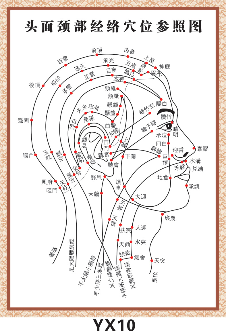 yx10 头面颈部经络穴位参照图 参考示意图 海报贴画图片