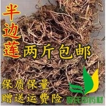 中药材半边莲 半边菊 500g 金菊草 吹风草 /满两斤包邮
