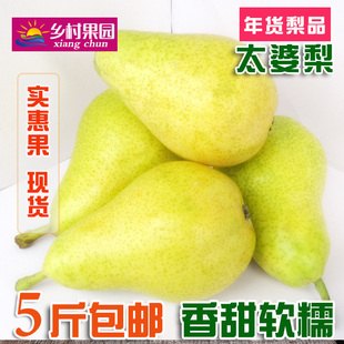 现货5斤香软太婆梨 茄梨啤梨大头梨 洋梨莱阳梨新鲜水果梨子