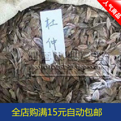 批发新采杜仲种子杜仲树种子当归种子黄芪党参种子柴胡紫苏牛蒡子