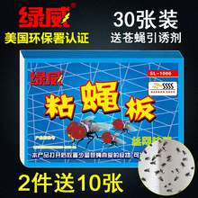 苍蝇贴粘蝇纸灭苍蝇神器蚊虫胶捕蝇器笼灭蝇药粘蝇板沾苍蝇条强力