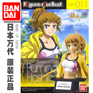 现货 万代 高达seed 人物胸像 011 figure-rise bust星野文奈学姐