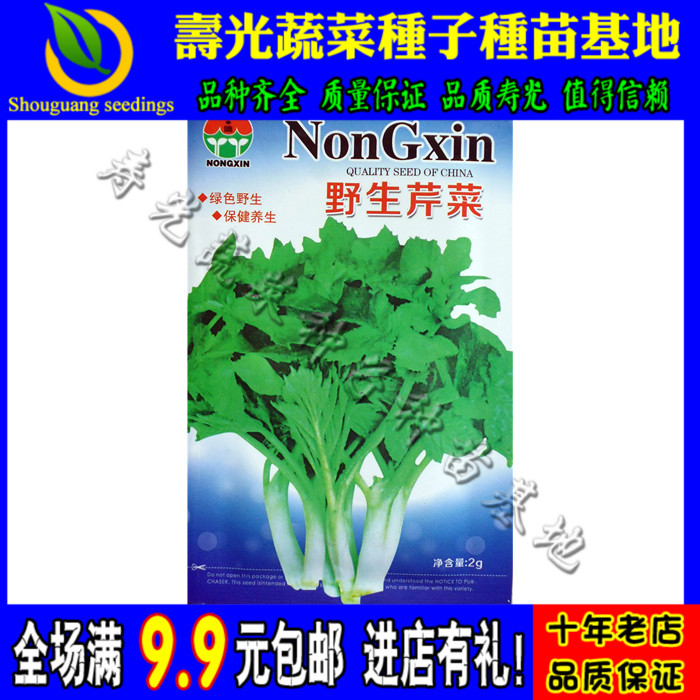 菜园野菜种子系列 野生芹菜种子 耐寒耐热 四季种菜籽 补血降压菜