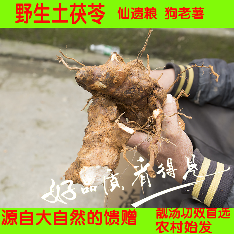 广西野生新鲜现挖土茯苓硬饭头冷饭团煲汤料