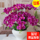 蝴蝶兰仿真花套装 饰花塑料花干花绢花 假花客厅卧室摆放花艺装 包邮