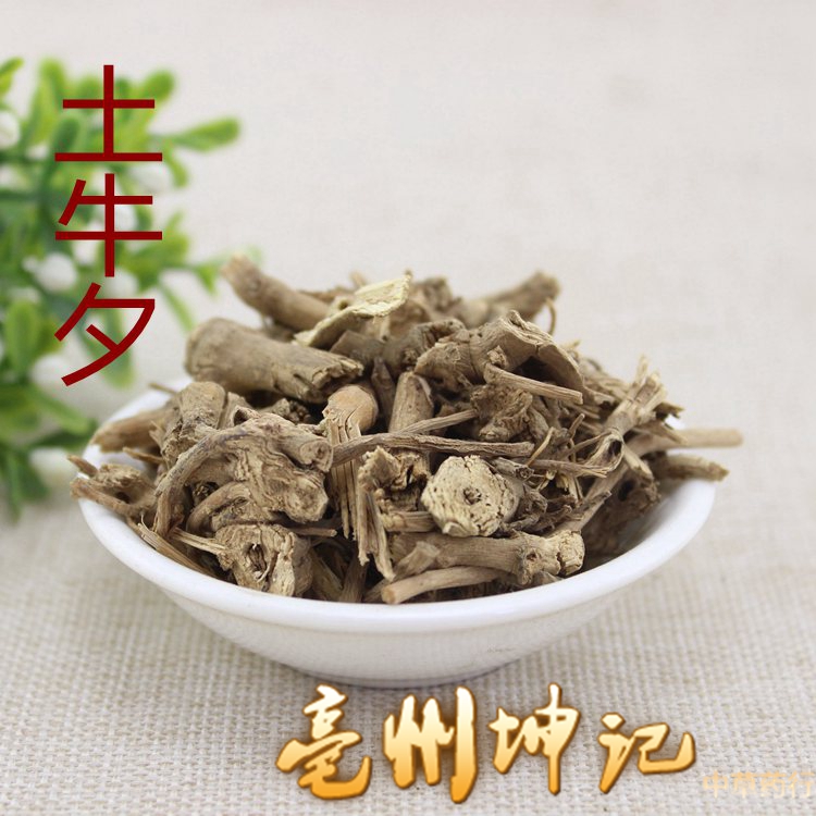 土牛膝 杜牛膝 倒扣草根 粗毛牛膝 土牛七 50g 可抓药