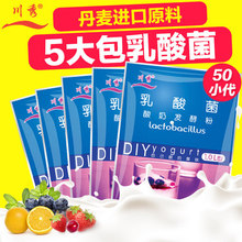 酸奶粉 酸奶发酵菌 酸奶菌粉益生菌 川秀乳酸菌酸奶发酵剂 5大包