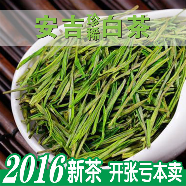 正宗珍稀白茶2016年新茶叶绿茶 春茶 安吉白茶 特级散装500g包邮