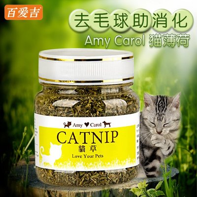 猫零食 猫草 小伙伴 高存活率猫草 猫咪吐毛球 