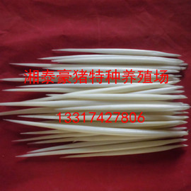 [最大网盘]评价 免费最大网盘怎么样