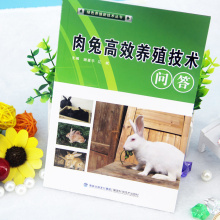 兔子养殖技术大全书籍 科学养兔子饲养教程 兔病预防治疗 高效育种 肉兔高效养殖技术问答 绿色养殖新技术丛书 绿色养殖 全新正版