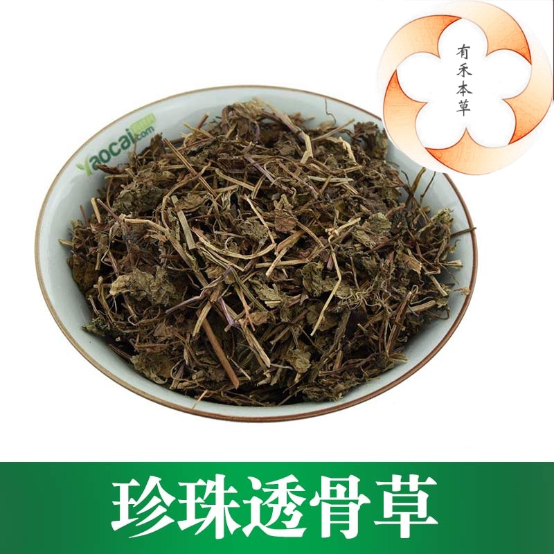 [有禾]珍珠透骨草/透骨草/枸皮草/500克