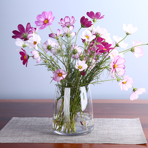 代简约玻璃花瓶透明水培富贵竹客厅百合鲜花插