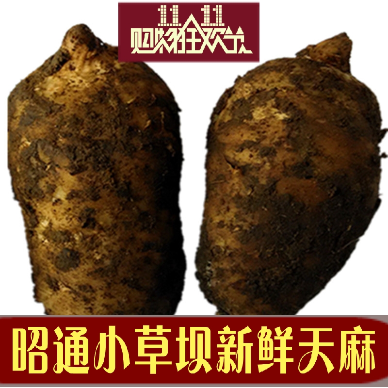 新鲜天麻 云南昭通小草坝 野生天麻5个1斤生天麻湿天麻500克包邮