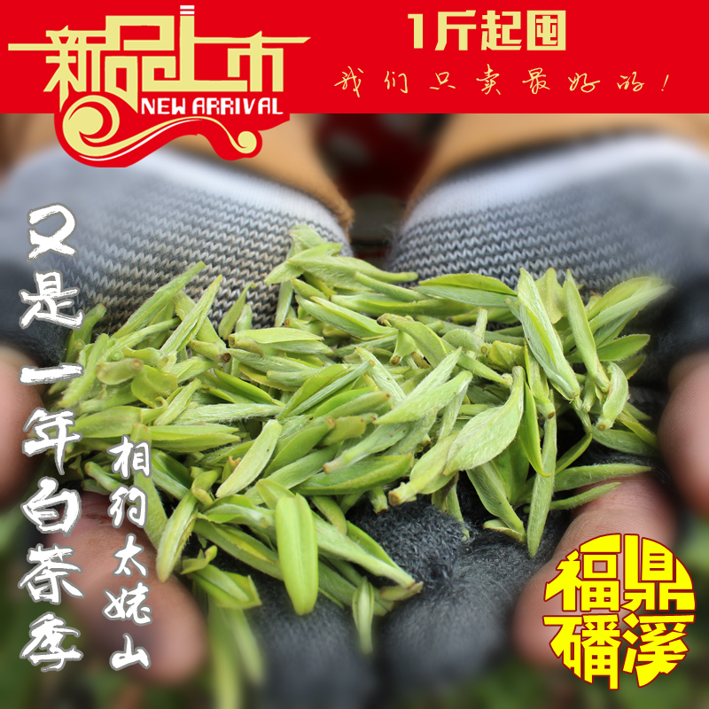 【天猫预售】福建福鼎高山白茶新茶 白毫银针 白牡丹 寿眉 500g