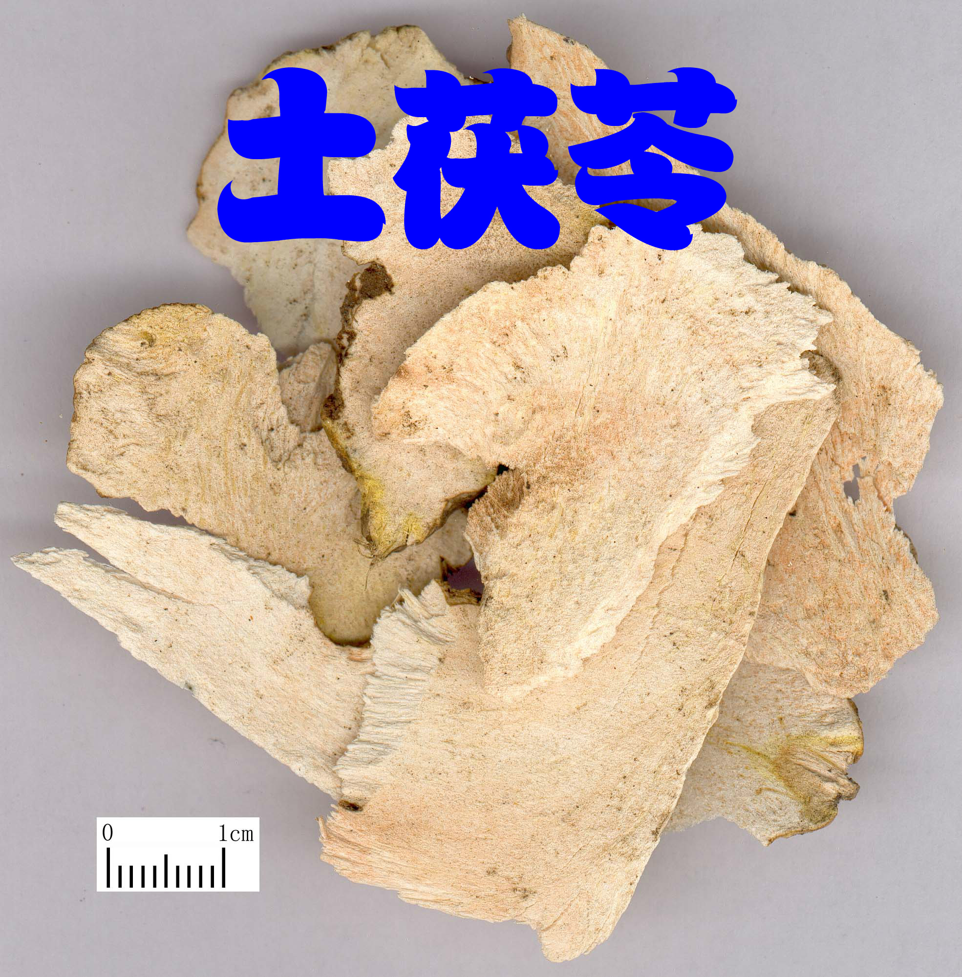 中药材土茯苓 野生纯天然茯苓干片粉包邮