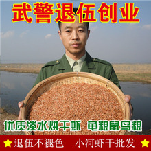 包邮 淡水鱼干无盐烘干小虾干河虾干龟粮鼠粮水龟巴西乌龟饲料龟食