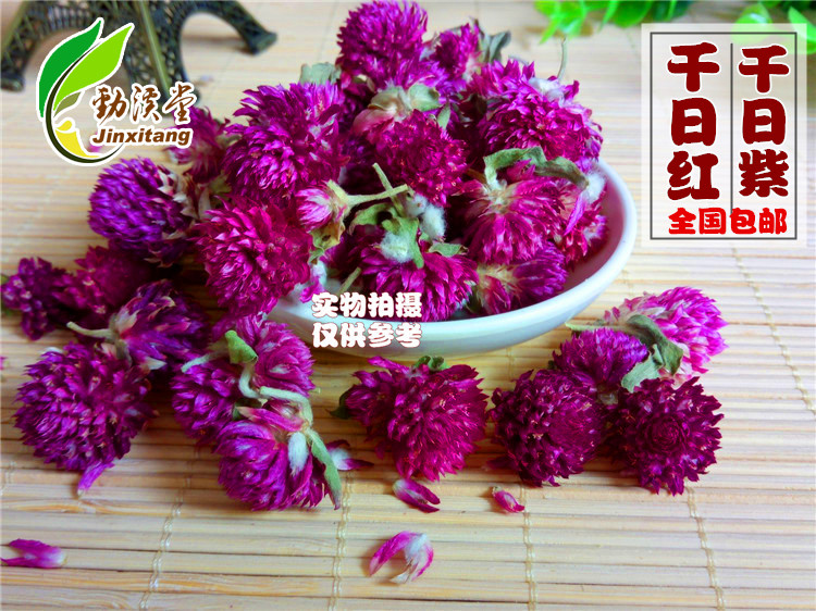 全国包邮 千日红花茶 千日紫花茶 天然特级袋装千日红花草茶500g