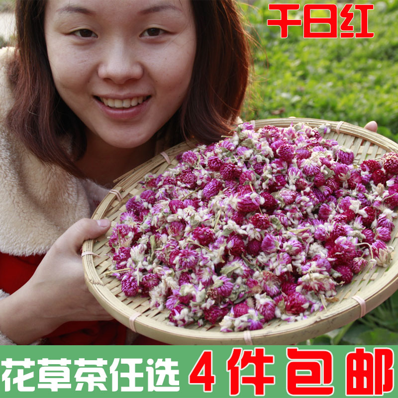 4件包邮 天然 千日红 火球花 苋科 草茶 云南特产 2016新货