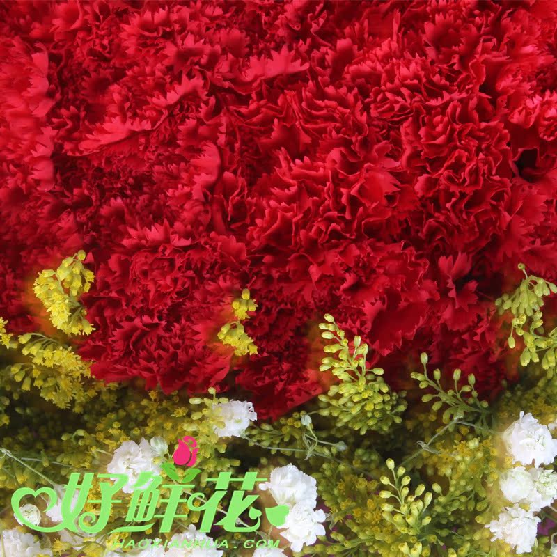 正品[顺义杨镇二手房网]顺义杨镇二手房信息评