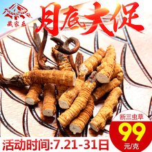 断三虫草 正品 六年老店 新鲜 西藏那曲野生冬虫夏草
