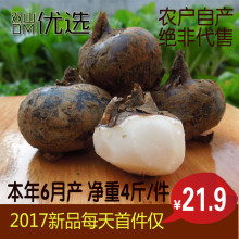 大果·首件5折仅21.9元 广西特产新鲜荔浦马蹄优质水果荸荠4斤