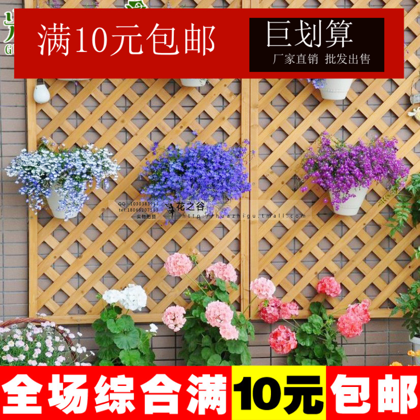 六倍利花种子 盆栽垂吊半边莲 翠蝶花种子蓝色 阳台秋播吊兰花籽