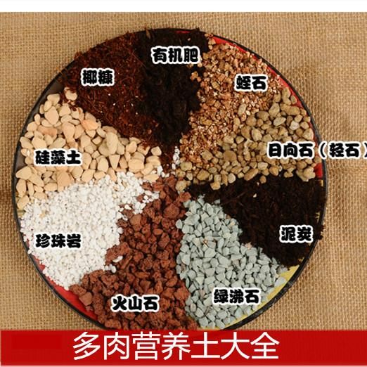 正品[多肉植物营养土]多肉植物专用营养土评测