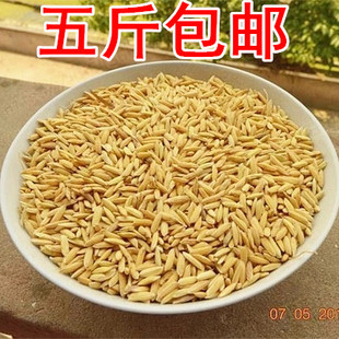 ˼ũµ    ״ǲʳ500g