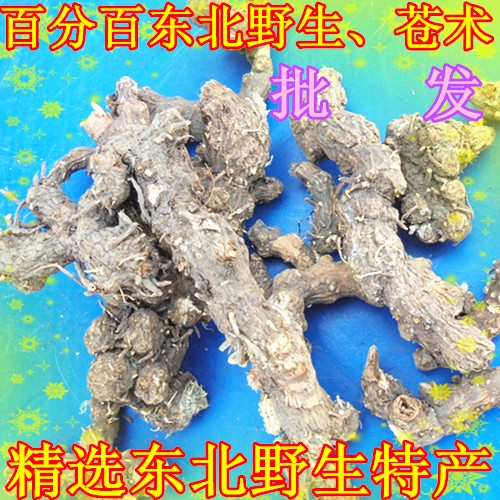 特产中药材 东北野生药材苍术批发 苍术 长朱 苍朱250克批发