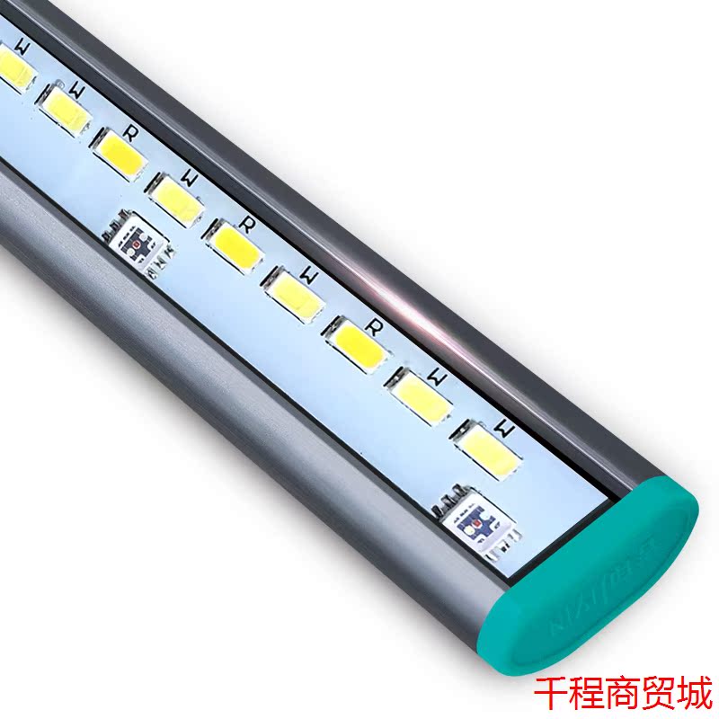 正品[三湖鲷鱼]三湖鲷鱼种类大全评测 三湖鲷鱼