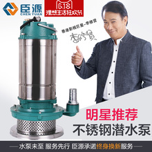 臣源220v不锈钢排污水泵潜水泵家用抽水高扬程农用家用抽水泵灌溉