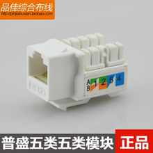 超五类网络模块 通通过福禄克测试 非免打信息模块 普盛模块 正品