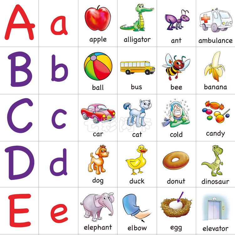 abc英语字母卡片 儿童早教英文单词闪卡 幼儿园教师版