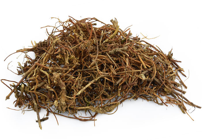 龙胆草 陵游草龙胆苦龙胆草地胆四叶胆  中药材