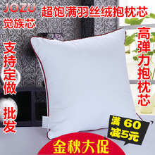 70靠背方枕芯 沙发抱枕芯靠枕芯十字绣靠垫芯子40