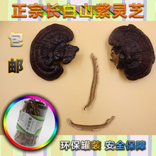 长白山东北半野生灵芝紫林芝片 大森林派50克<灵芝片>买三送一盒装