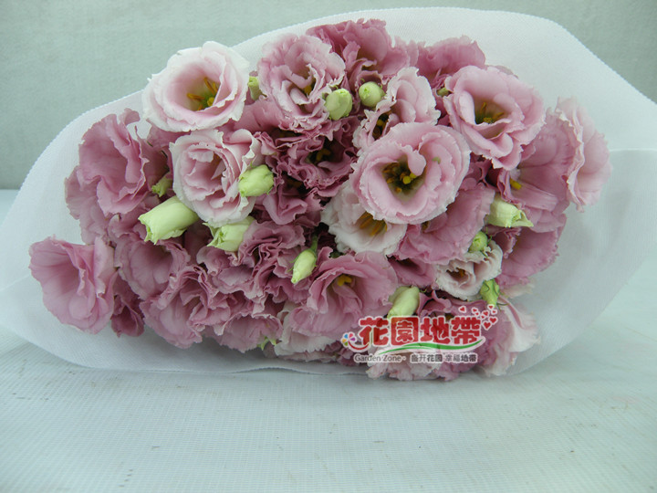订阅鲜花 洋桔梗鲜花 各色新鲜龙胆花 北上广深圳鲜花速递