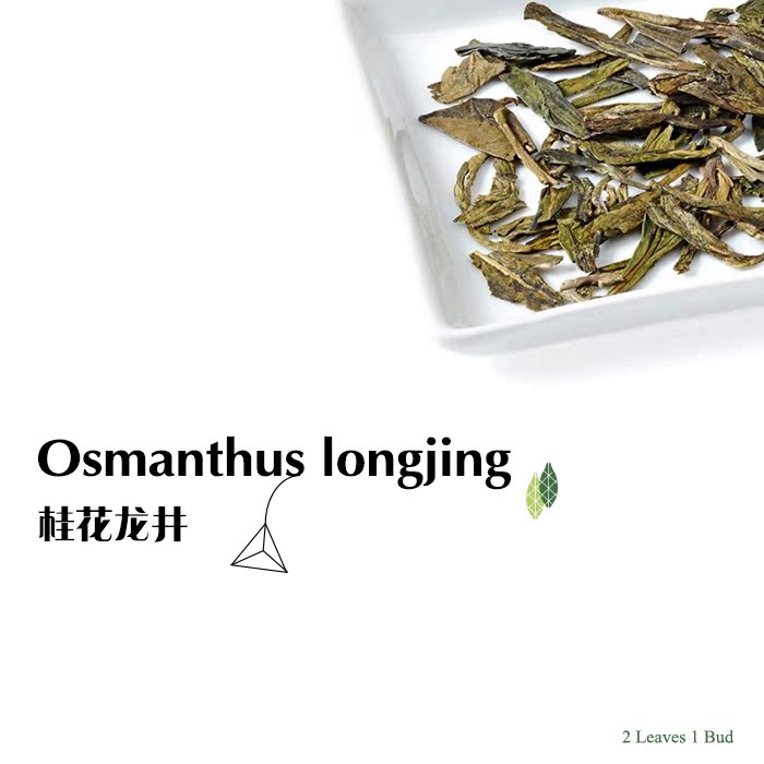 桂花龙井三角茶包独立绿茶冷泡茶可热饮 12包 部分地区两盒包邮