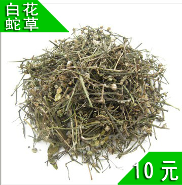 中药材白花蛇舌草江西野生白花蛇草干净无杂质10元500克