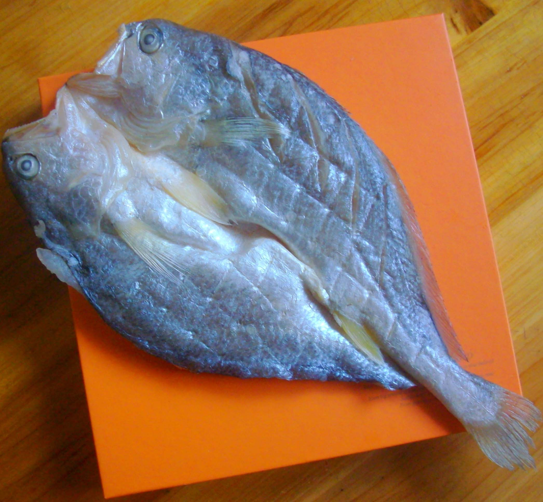东海脱脂黄鱼鲞 原生态咸香大黄鱼干 温州黄鱼