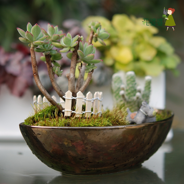 花婆婆 欧式出口陶瓷花盆 简约"金色年华"水培花盆多肉组合花盆