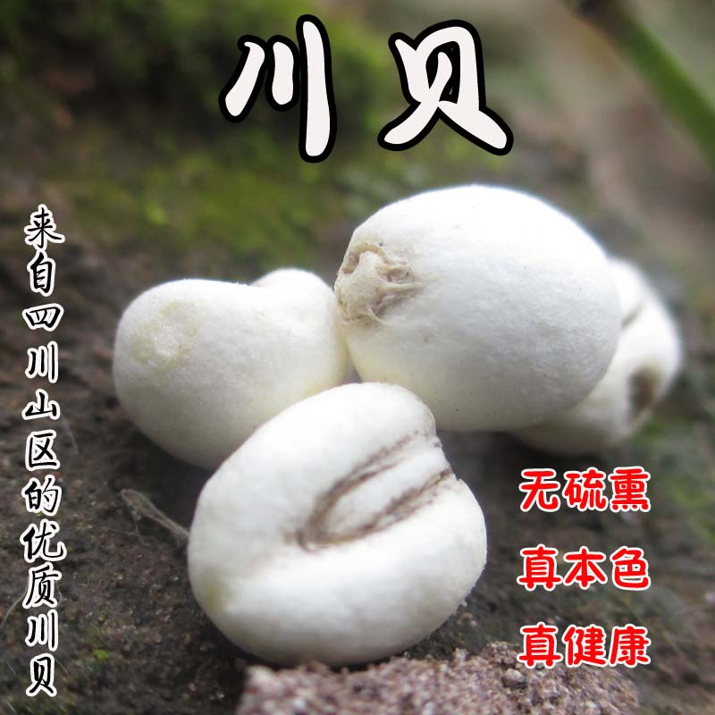 川贝 中药材川贝母川贝粉 四川野生川贝母粉 非同仁堂一件包邮