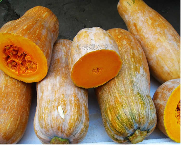 زϹϽ500g  칫ɫʳ/΢/