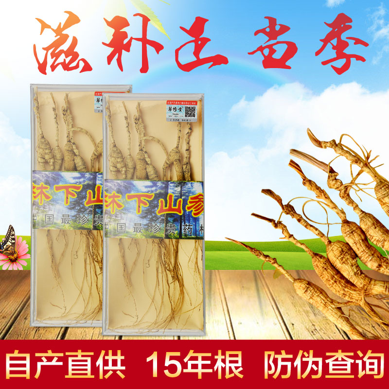人参野山参礼盒野生林下参移山鲜参东北长白山特产泡酒料15年20g
