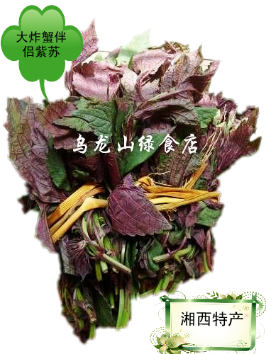 正宗 龙虾,善鱼必放绿色野生天然香料 干紫苏叶  100克/10元
