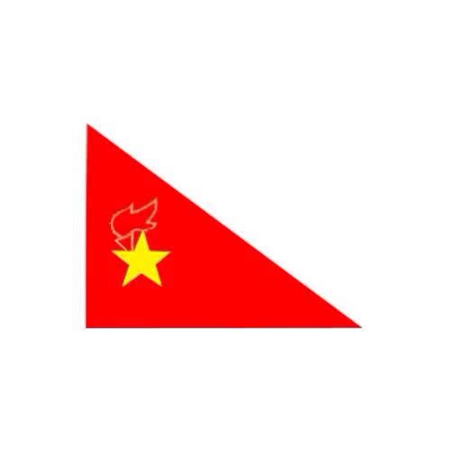 少先队队旗 中队旗 大队旗 小队旗 春亚纺布料大队旗