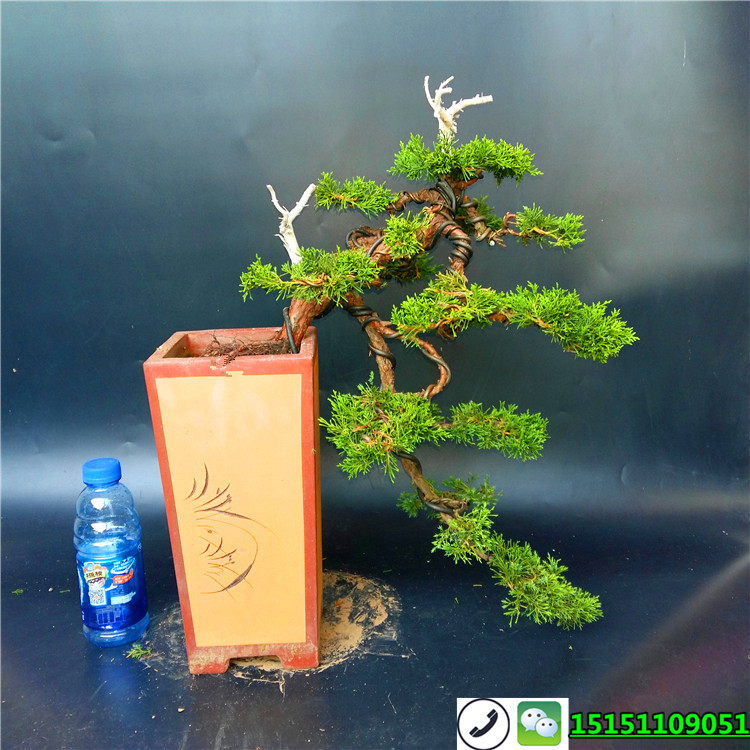 推荐最新小品新房演员 蔡明小品新房演员信息