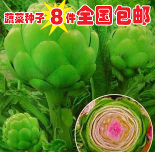 洋蓟茶 法国百合 朝鲜蓟茶 甘甜明目 嫩叶60g 买三送一包邮